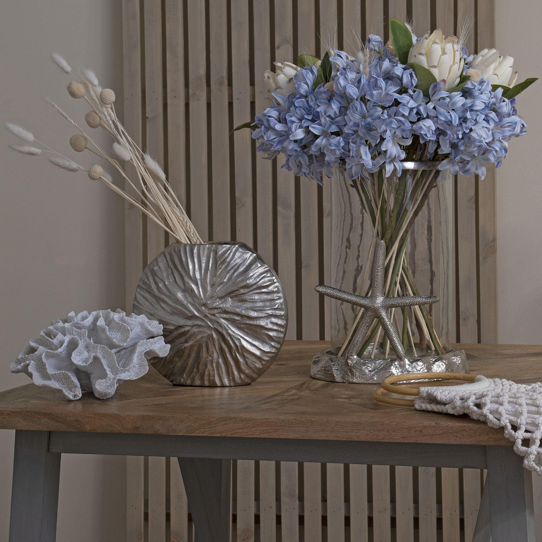 Skandi London Light Blue Large Headed Agapanthus - Skandi London