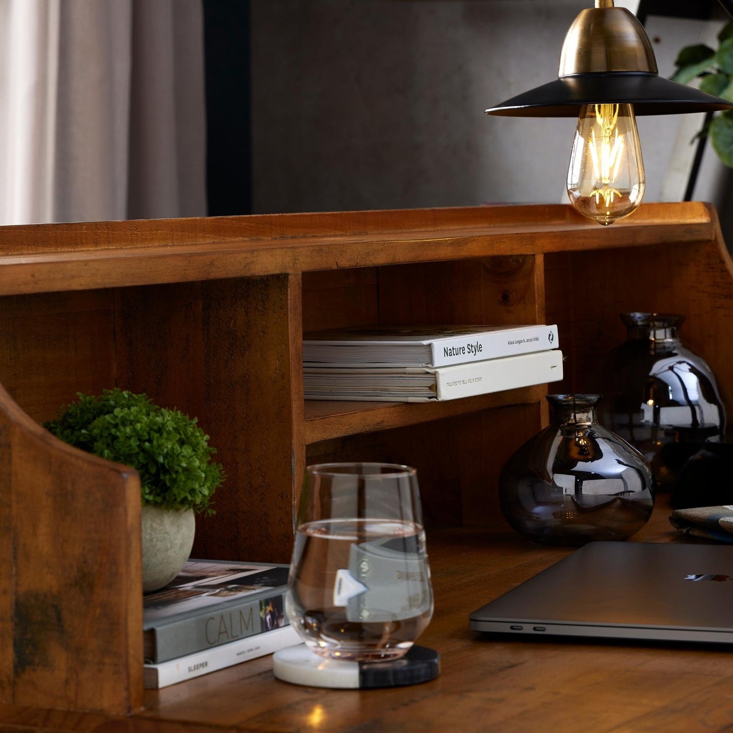 Skandi London Miniature Hebe Veronica In Pot - Skandi London