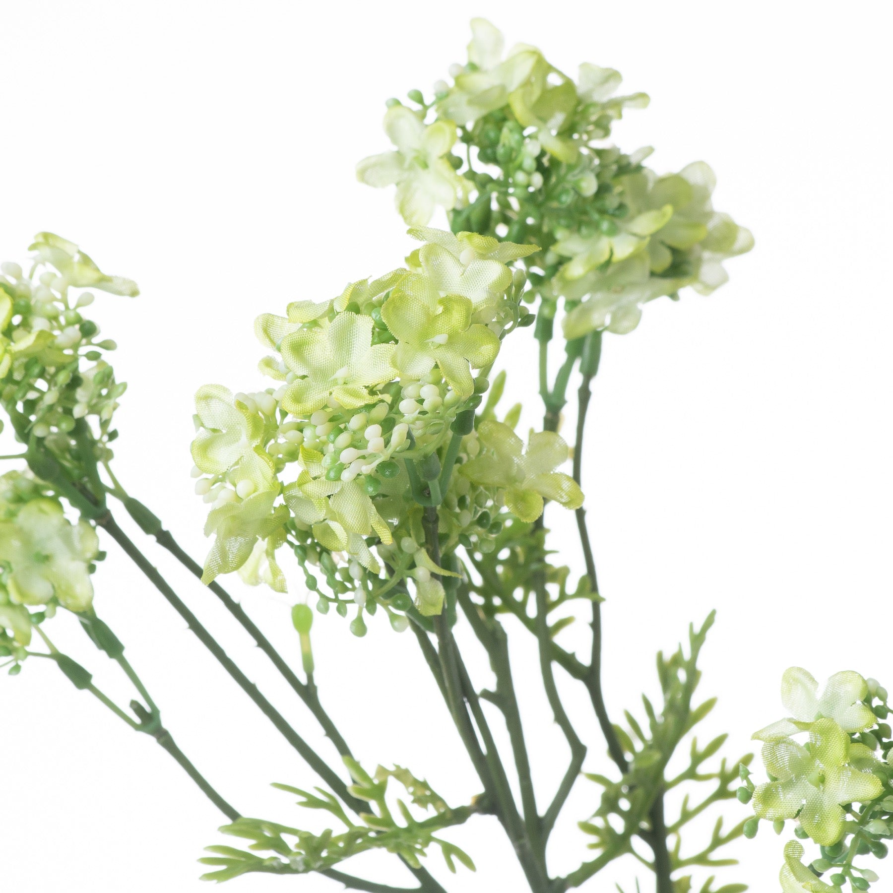 Skandi London Green Plumb Blossom Spray - Skandi London