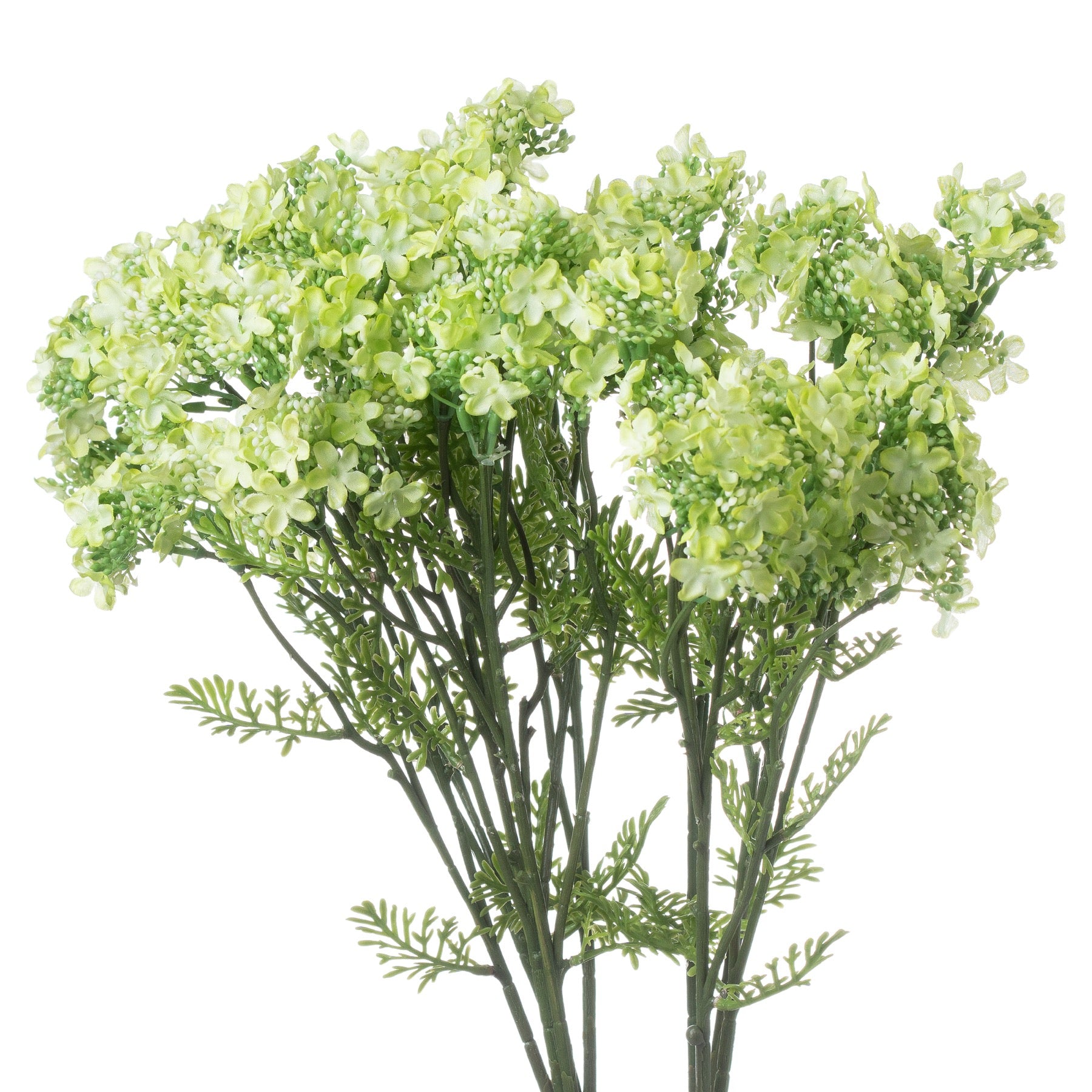 Skandi London Green Plumb Blossom Spray - Skandi London