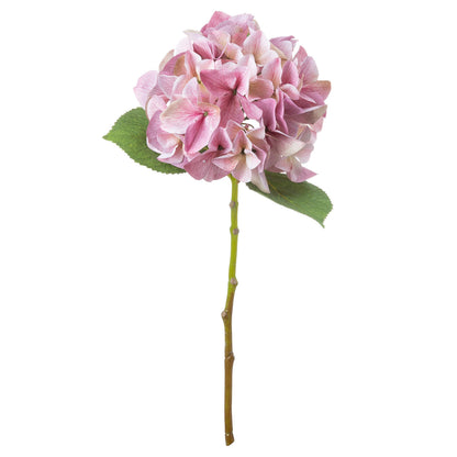 Skandi London Shabby Pink Single Hydrangea - Skandi London