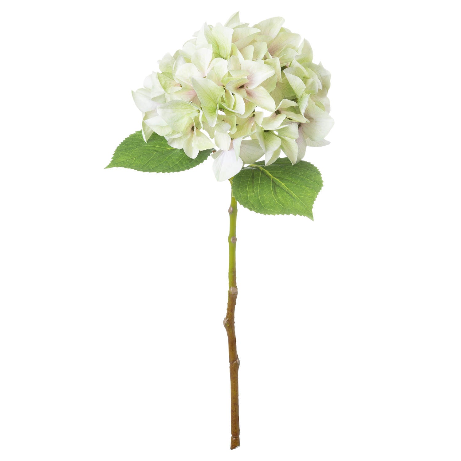 Skandi London Shabby Green Single Hydrangea - Skandi London