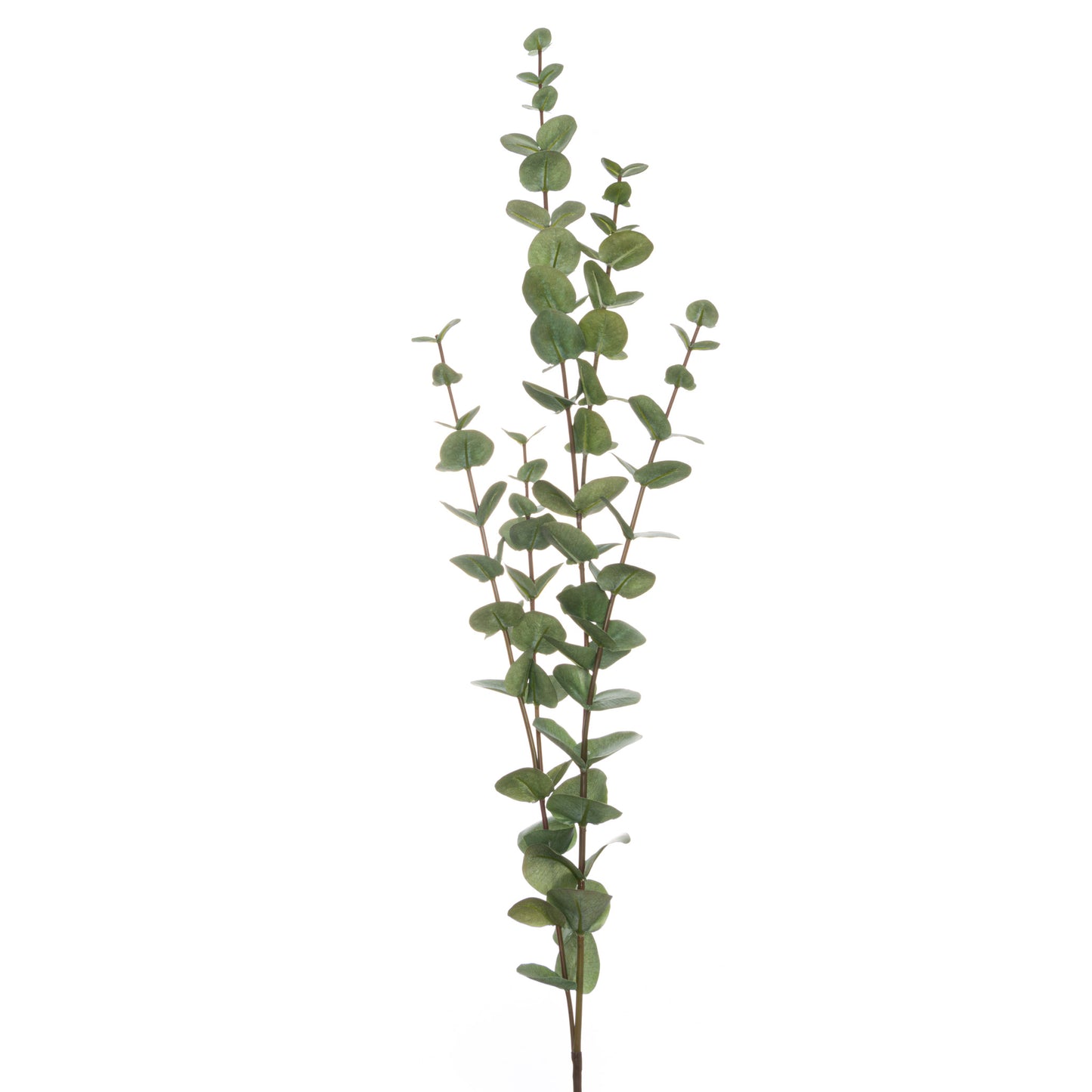 Skandi London Large Cineraria Eucalyptus Spray - Skandi London