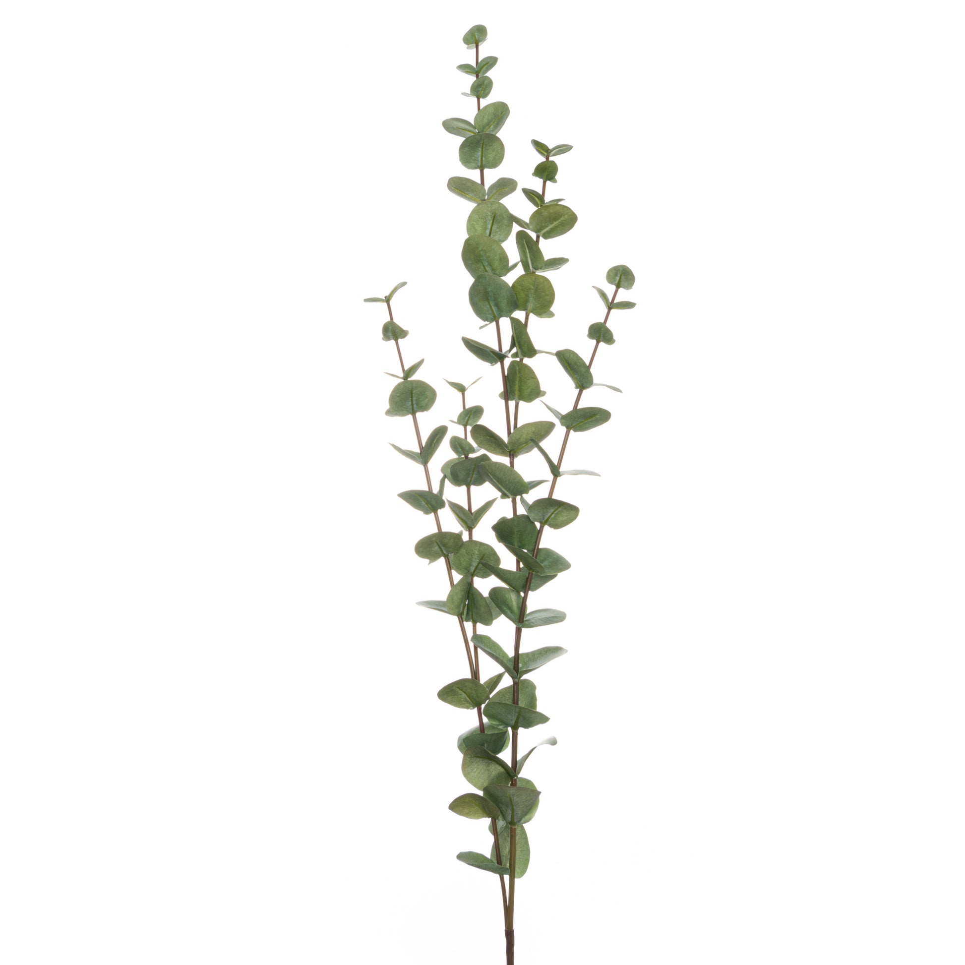 Skandi London Large Cineraria Eucalyptus Spray - Skandi London