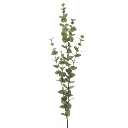 Skandi London Large Cineraria Eucalyptus Spray - Skandi London