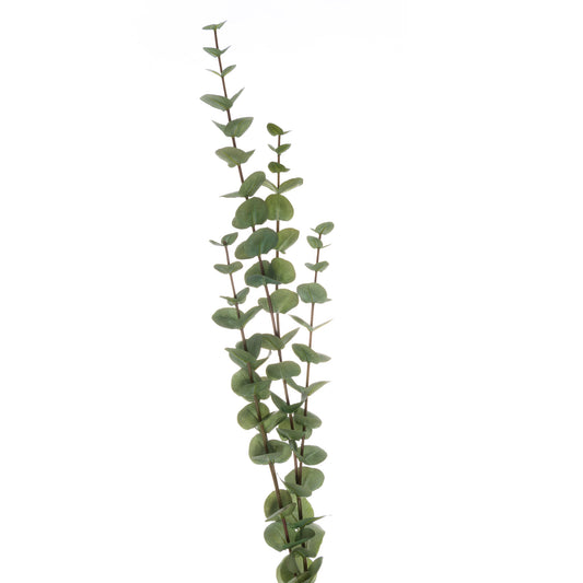 Skandi London Large Cineraria Eucalyptus Spray - Skandi London