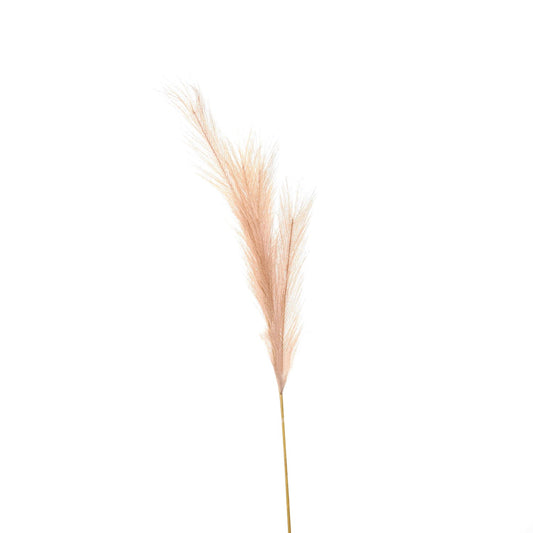 Skandi London Faux Pampas Grass Stem - Skandi London
