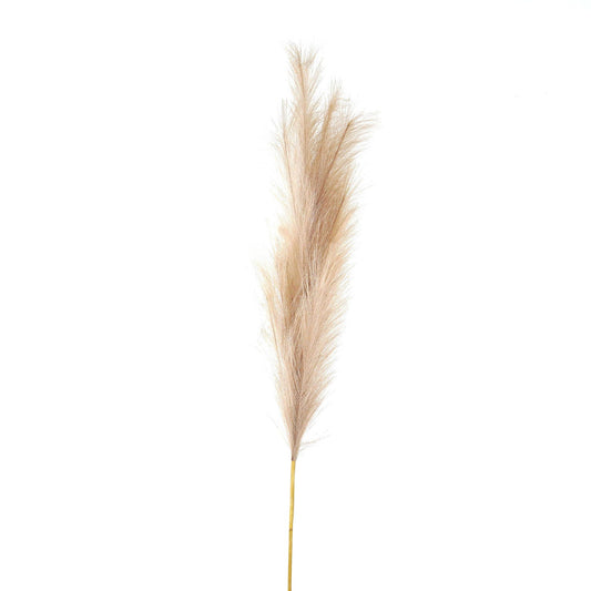 Skandi London Bleached Large Faux Pampas Grass Stem - Skandi London