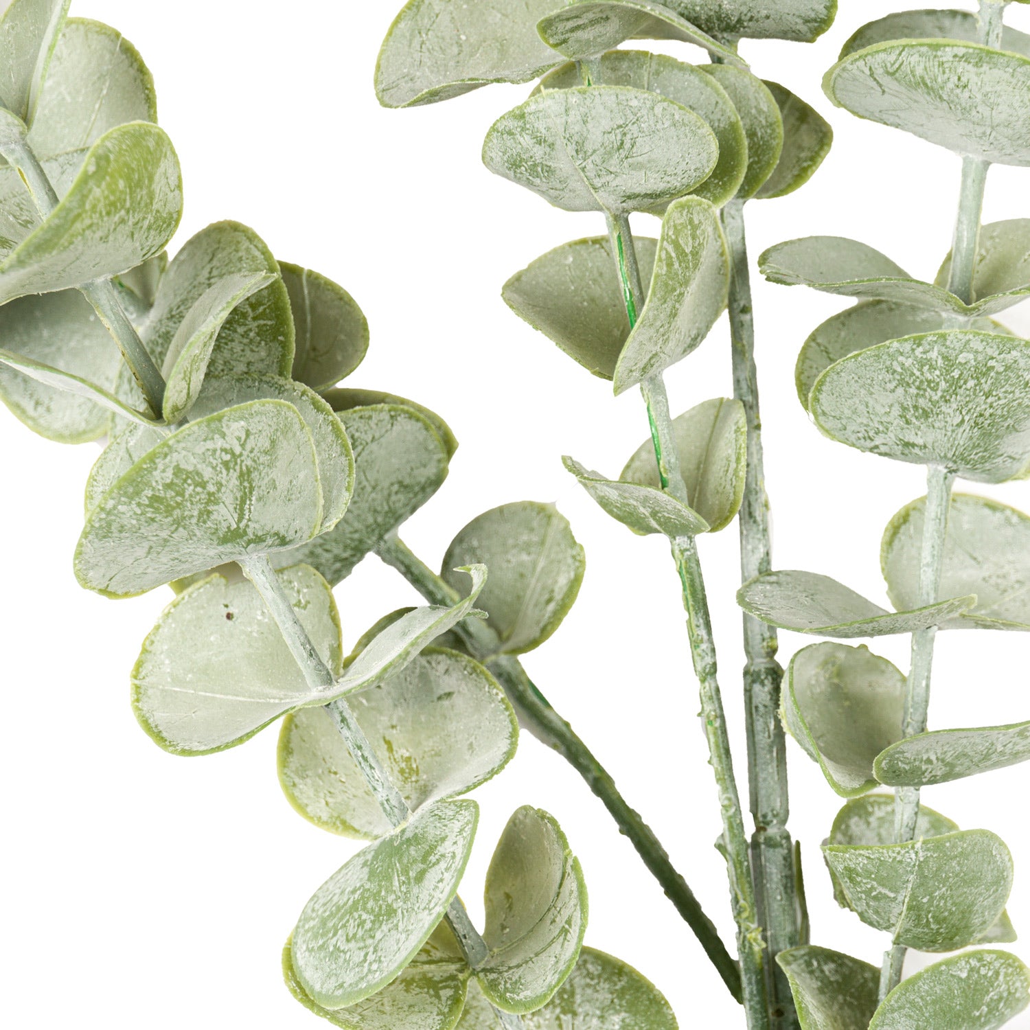 Skandi London Gunnii Eucalyptus Spray - Skandi London