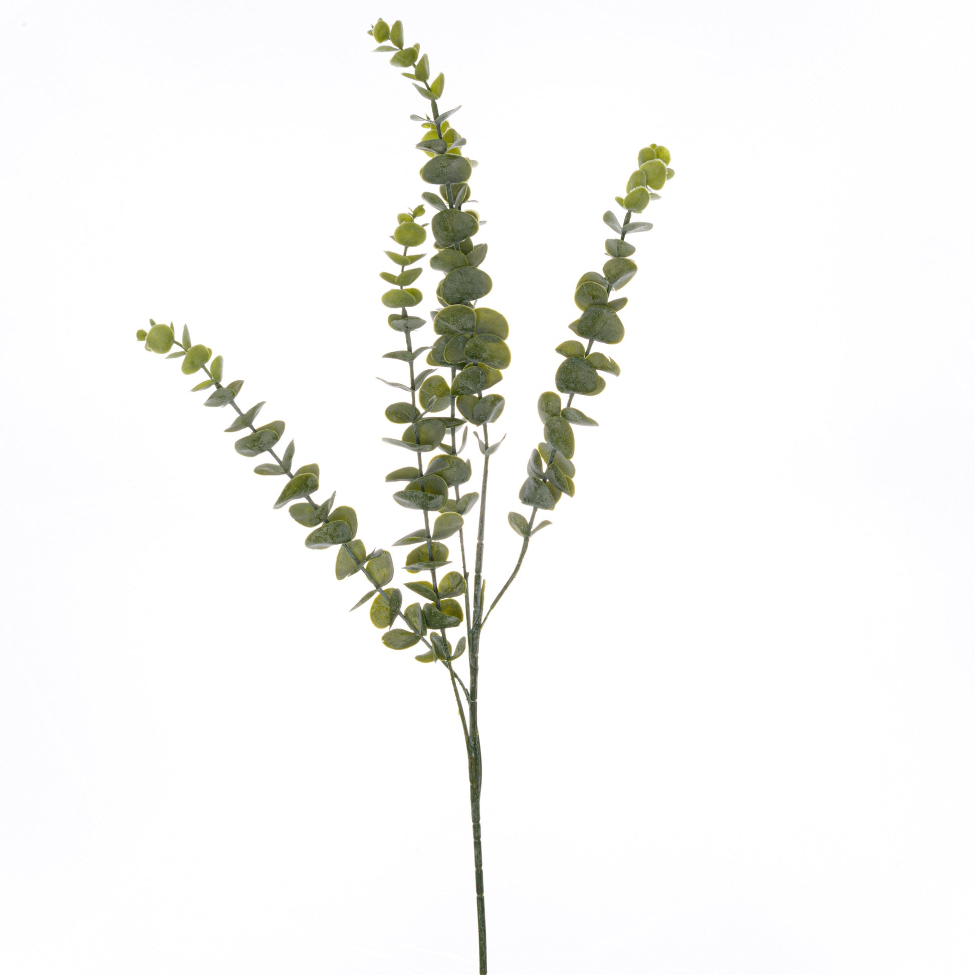 Skandi London Gunnii Eucalyptus Spray - Skandi London