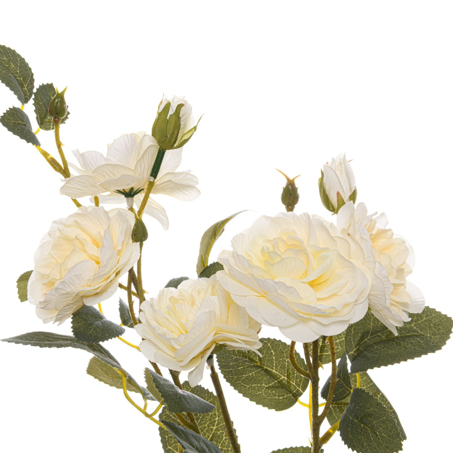 Skandi London Soft White Cottage Rose Stem - Skandi London