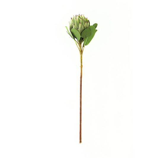 Skandi London Large Green Protea - Skandi London