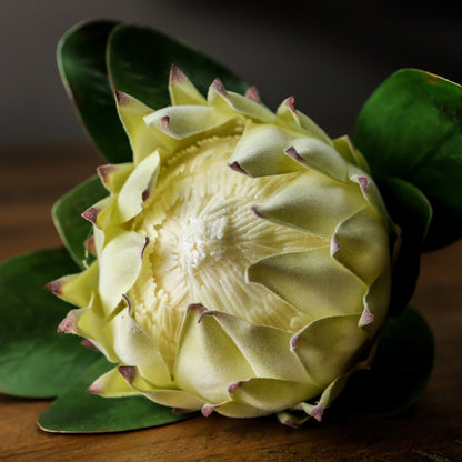 Skandi London Large White Protea