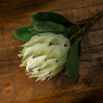Skandi London Large White Protea