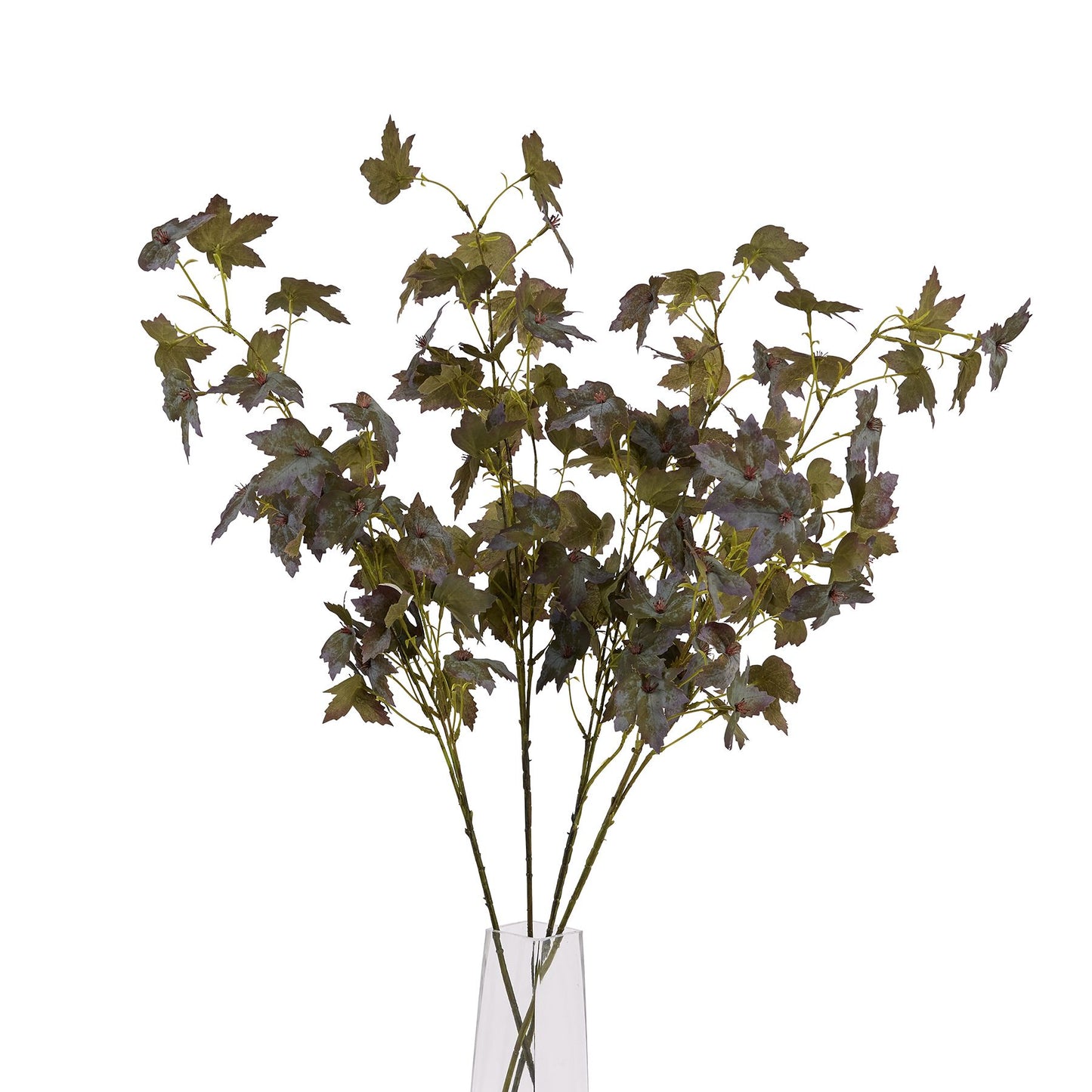 Skandi London Variegated Maple Leaf - Skandi London