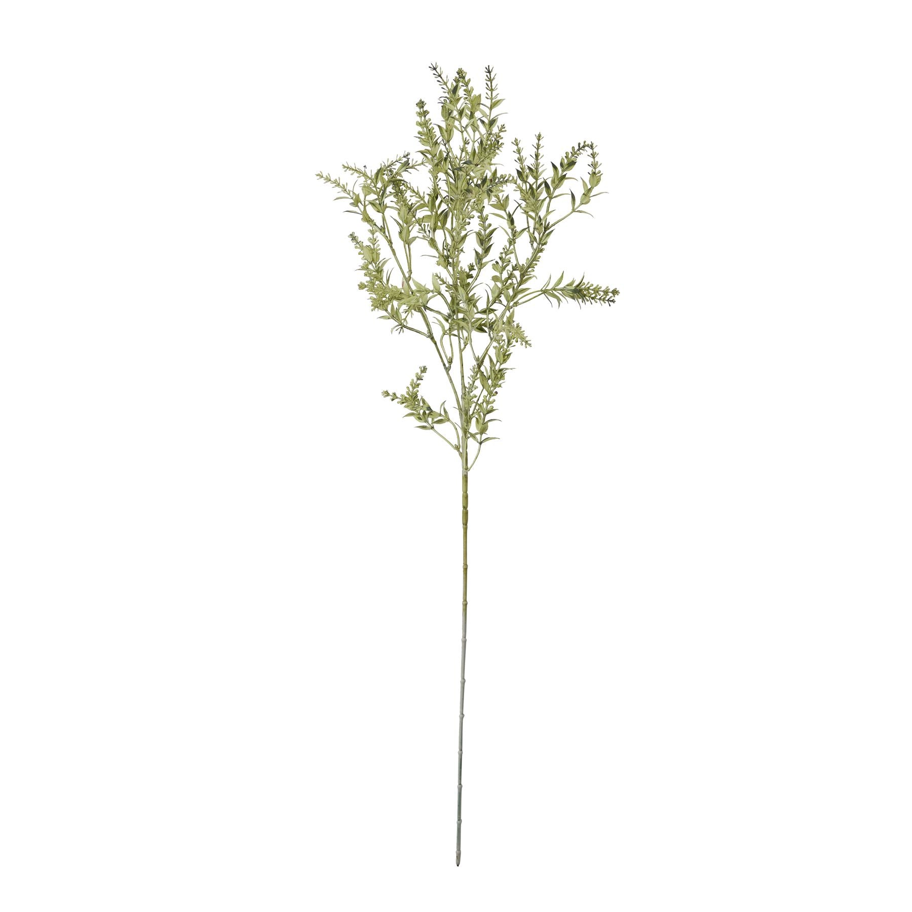 Skandi London Broom Stem - Skandi London