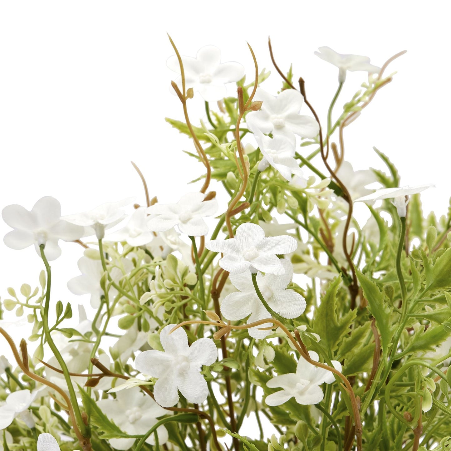 Skandi London Italian White Bellflower - Skandi London