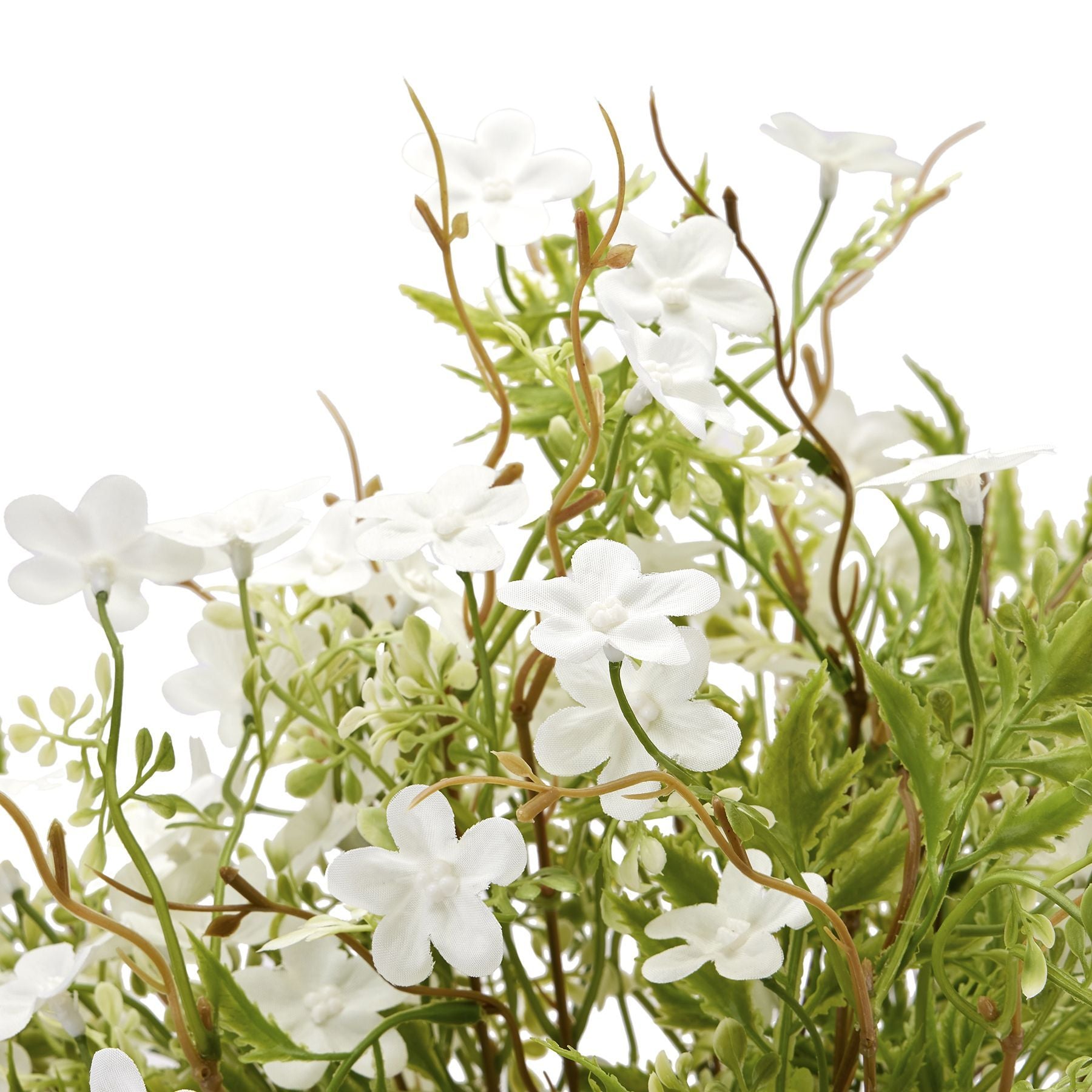 Skandi London Italian White Bellflower - Skandi London