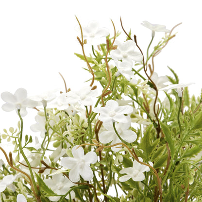 Skandi London Italian White Bellflower - Skandi London