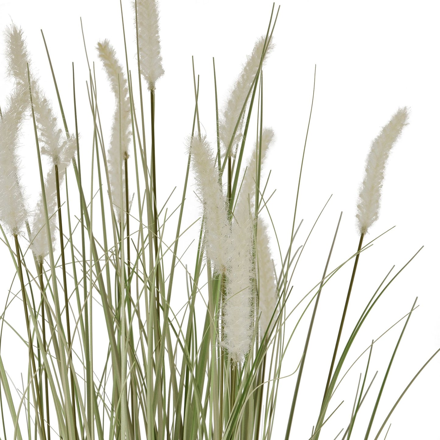 Skandi London Large Bunny Tail Grass - Skandi London