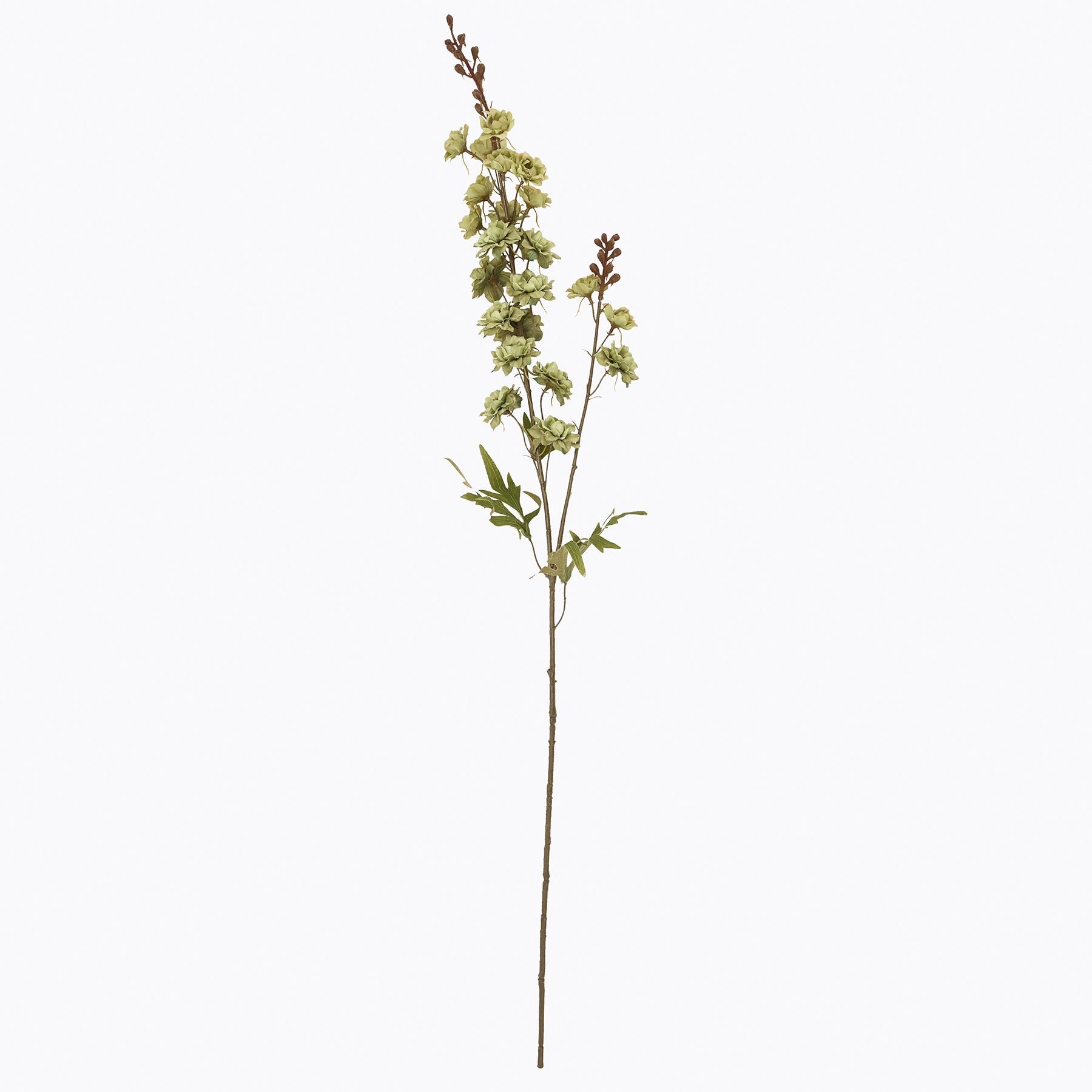 Skandi London Tall Green Hops Stem - Skandi London