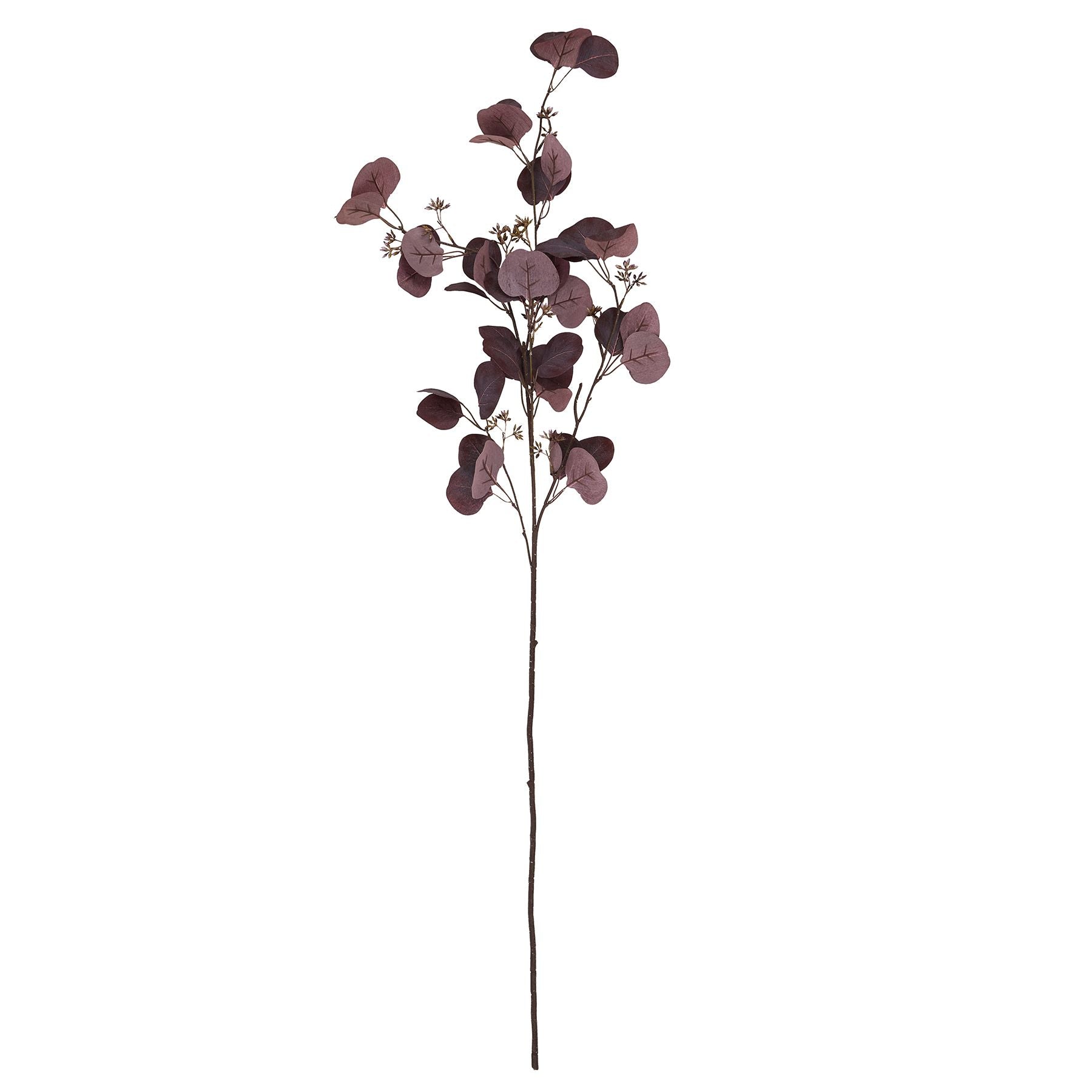 Skandi London Burgundy Berried Eucalyptus - Skandi London