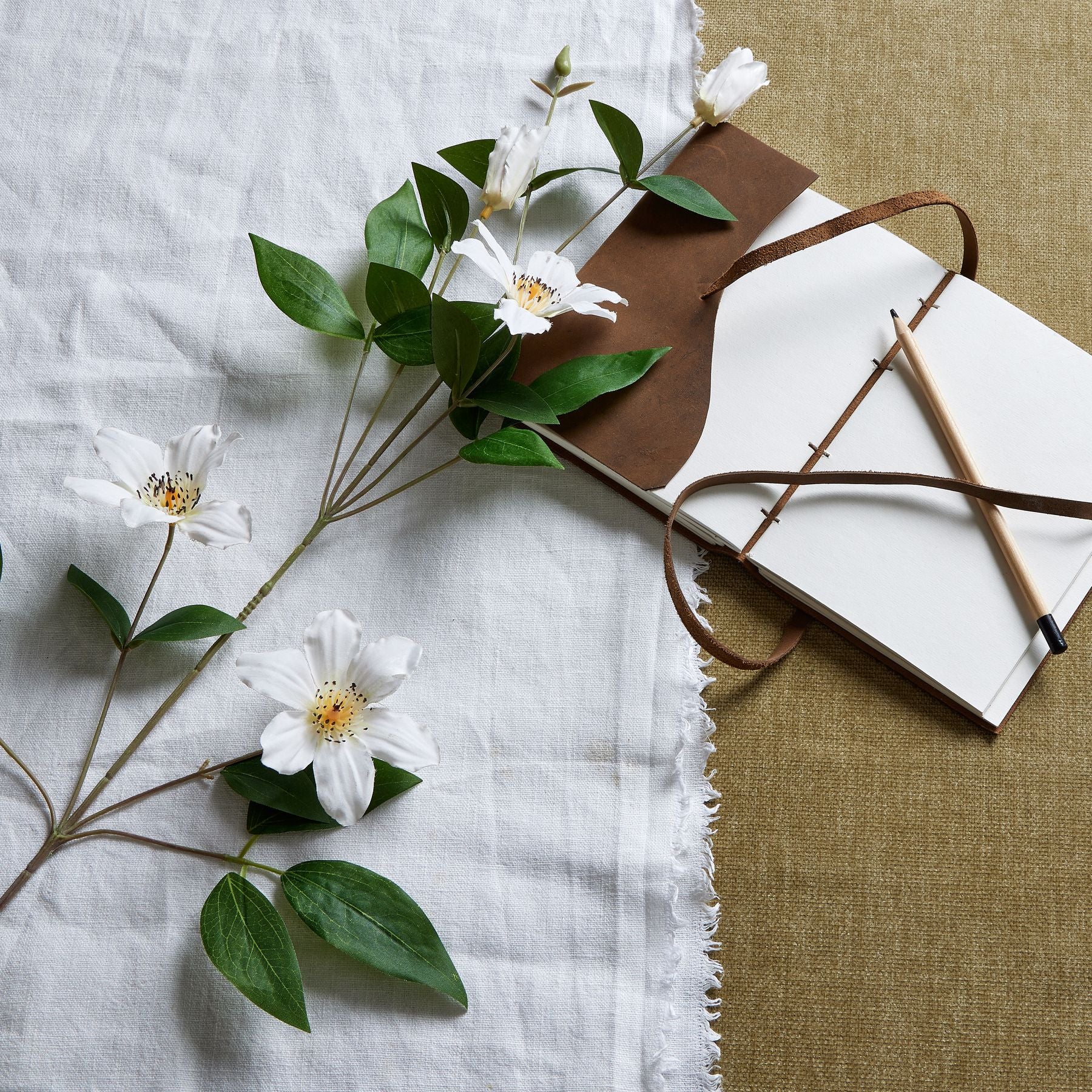 Skandi London White Florida Clematis - Skandi London