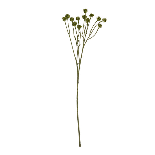 Skandi London Green Craspedia Stem - Skandi London