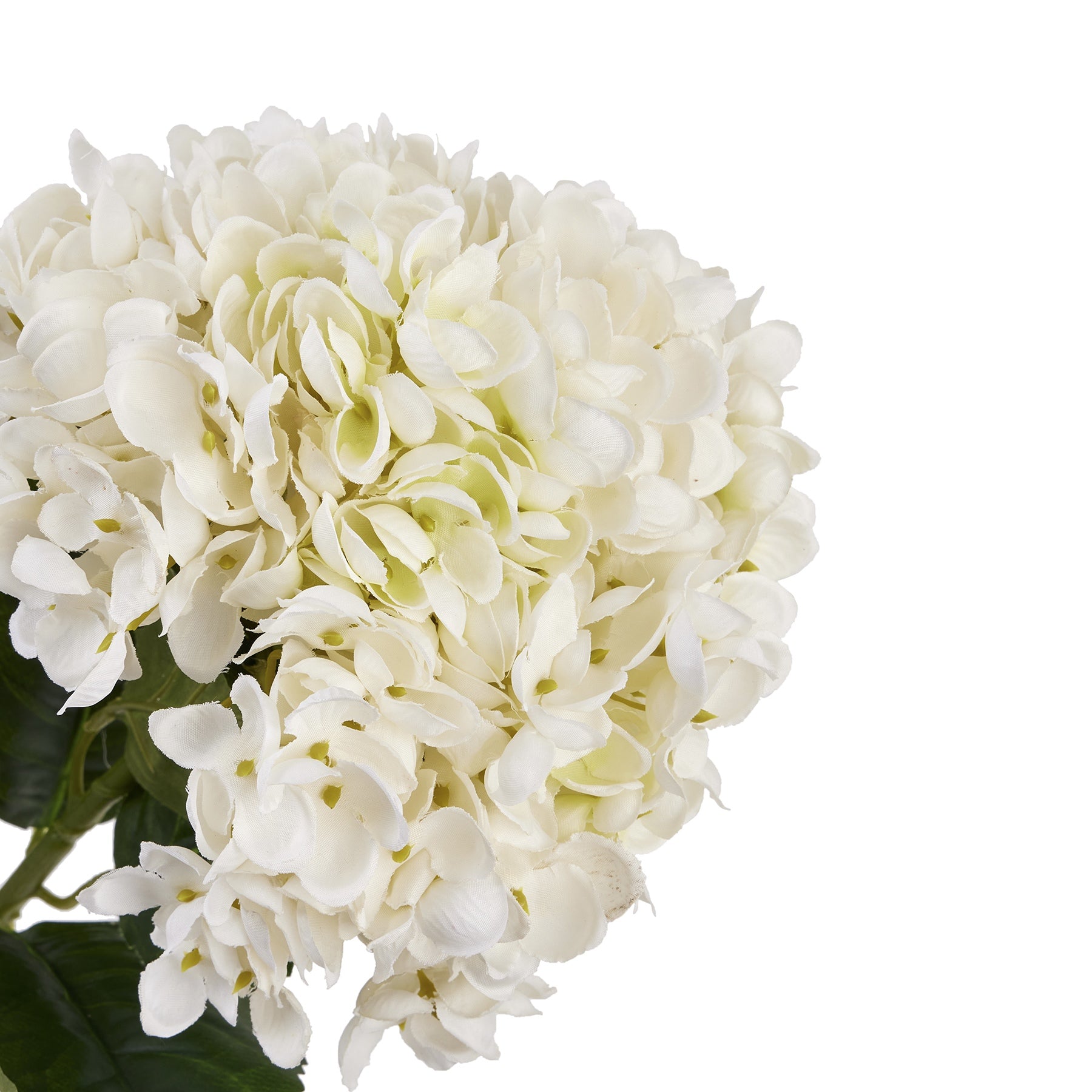 Skandi London White Hydrangea Stem - Skandi London