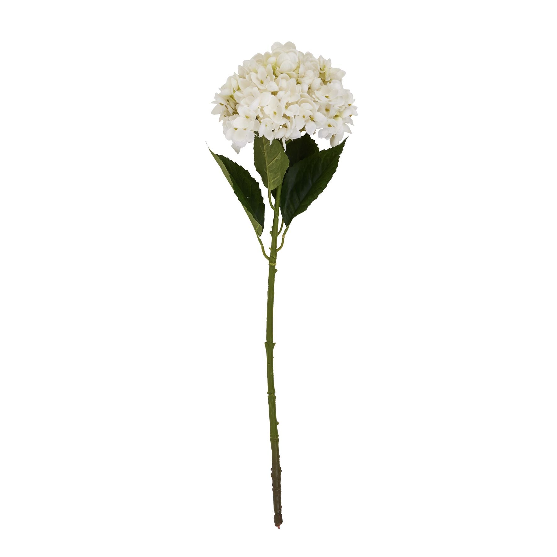 Skandi London White Hydrangea Stem - Skandi London