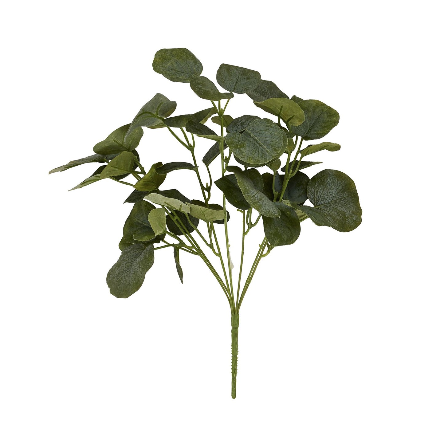 Skandi London Short Eucalyptus Bunch - Skandi London