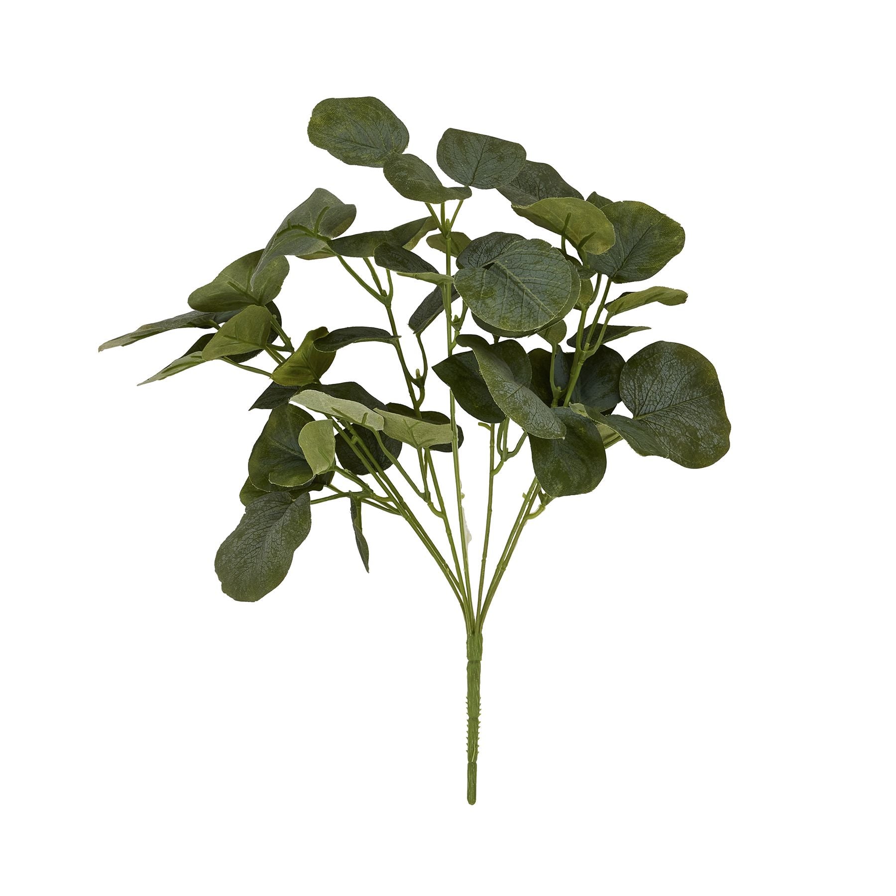 Skandi London Short Eucalyptus Bunch - Skandi London
