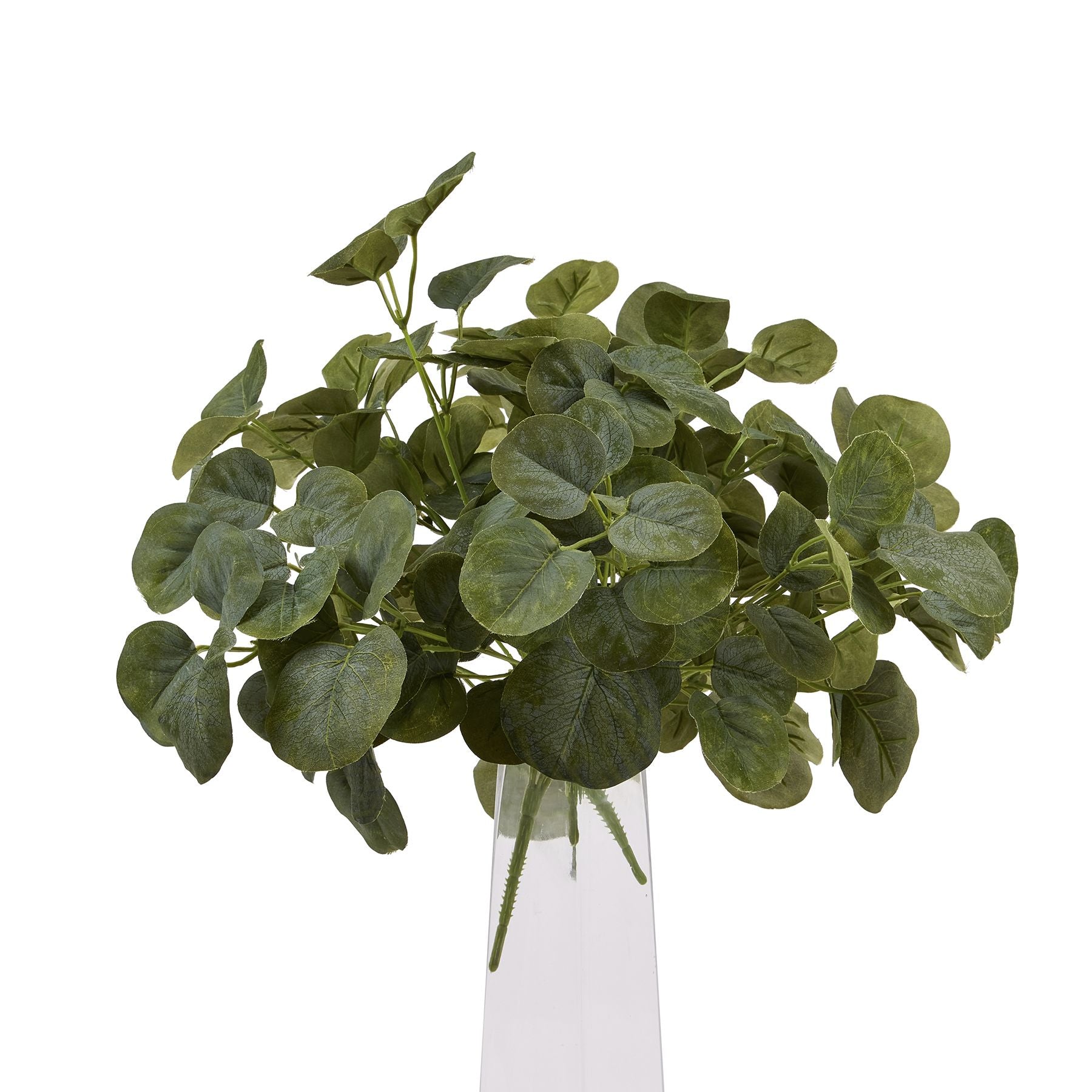 Skandi London Short Eucalyptus Bunch - Skandi London