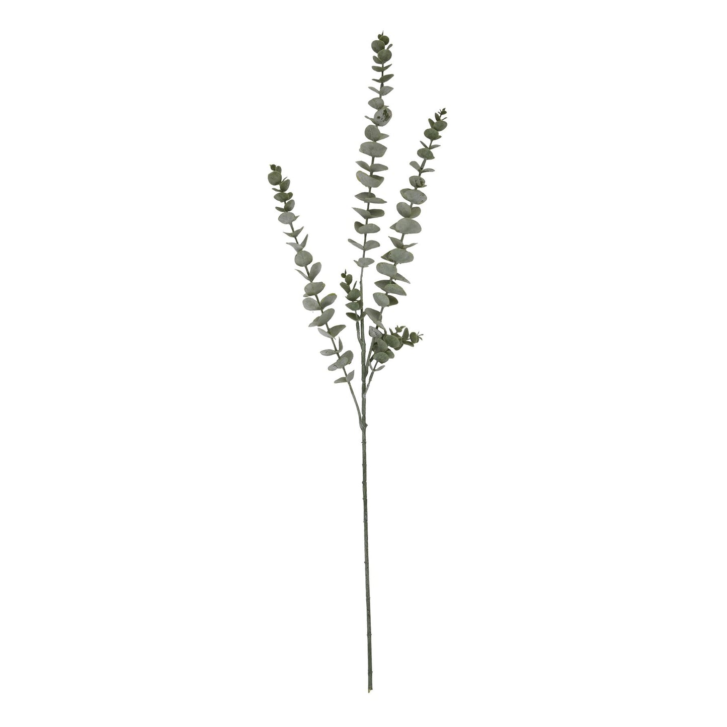 Skandi London Gunnii Blue Eucalyptus Spray - Skandi London