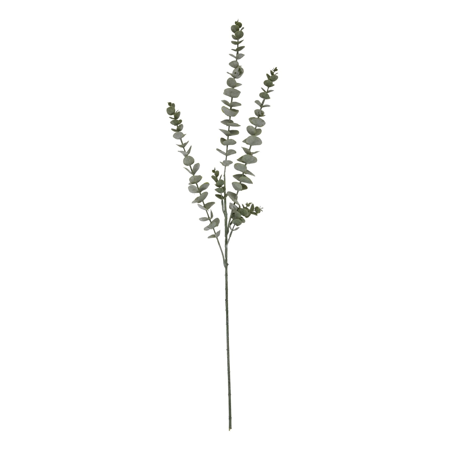 Skandi London Gunnii Blue Eucalyptus Spray - Skandi London