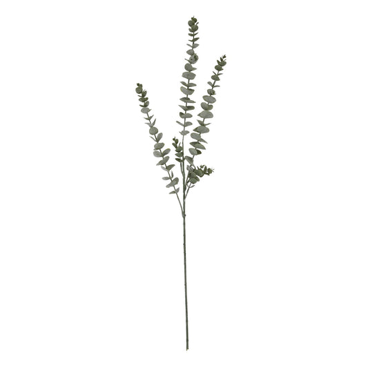 Skandi London Gunnii Blue Eucalyptus Spray - Skandi London