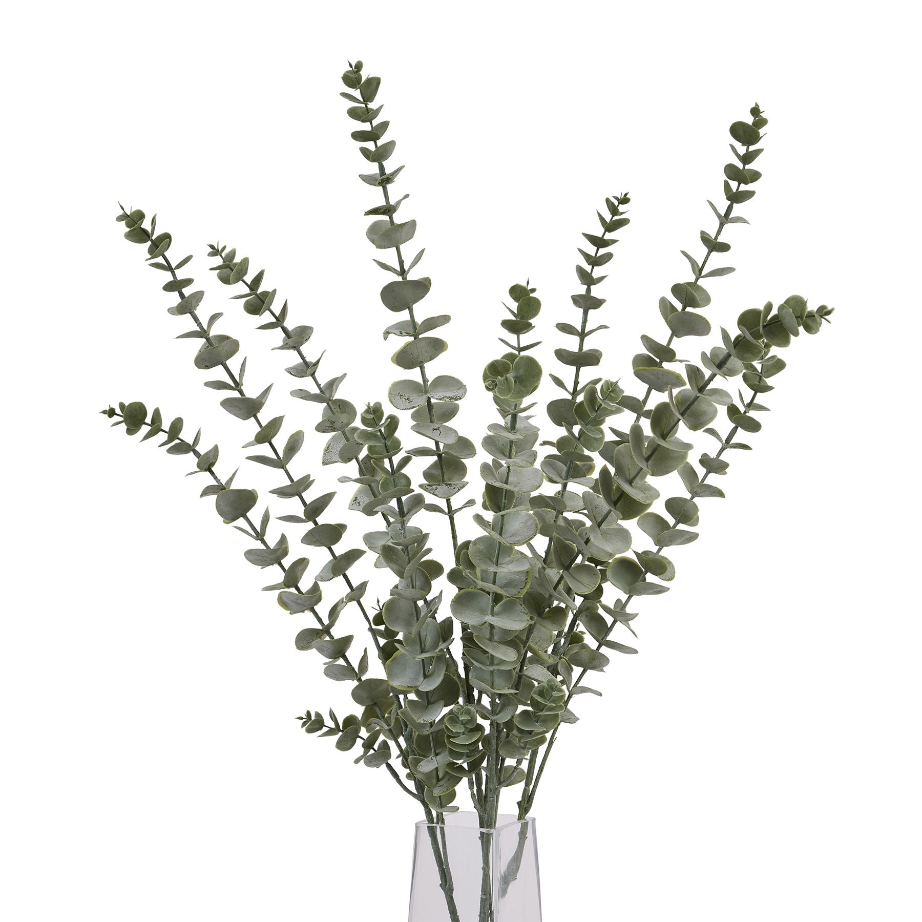 Skandi London Gunnii Blue Eucalyptus Spray - Skandi London