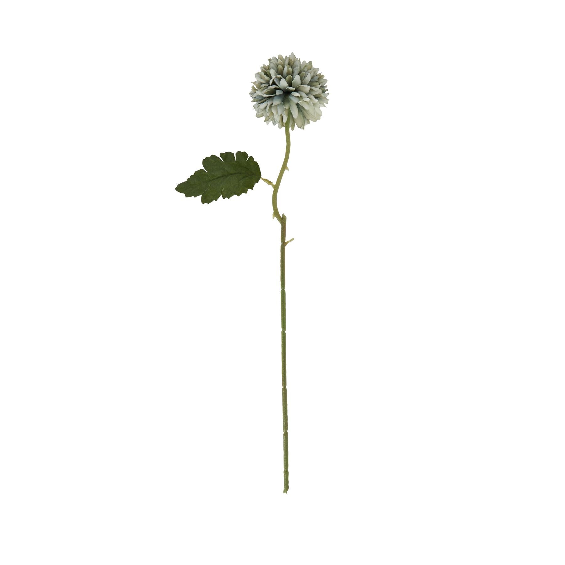 Skandi London Pale Green Blue Short Chrysanthemum - Skandi London