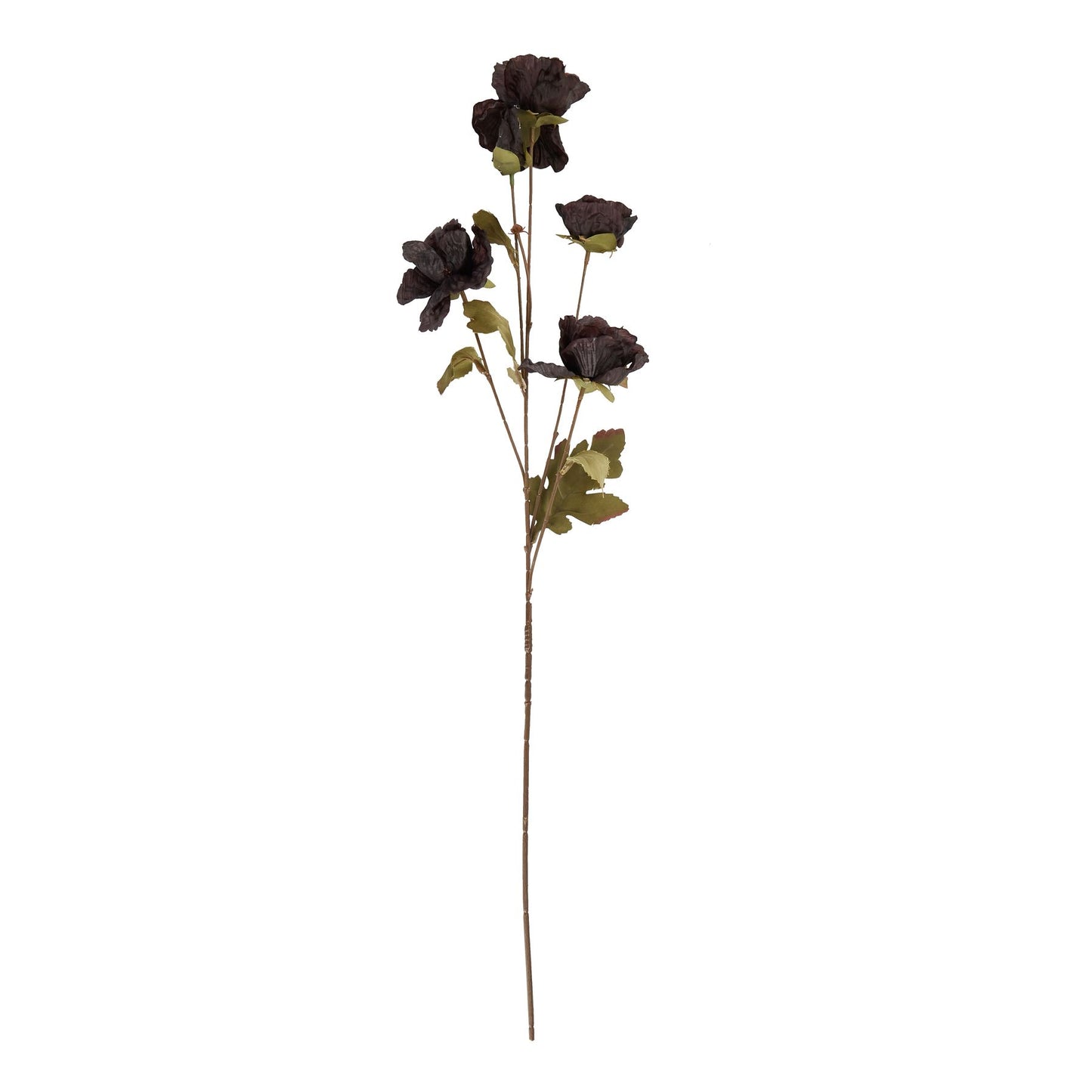 Skandi London Tall Black Poppy Stem - Skandi London