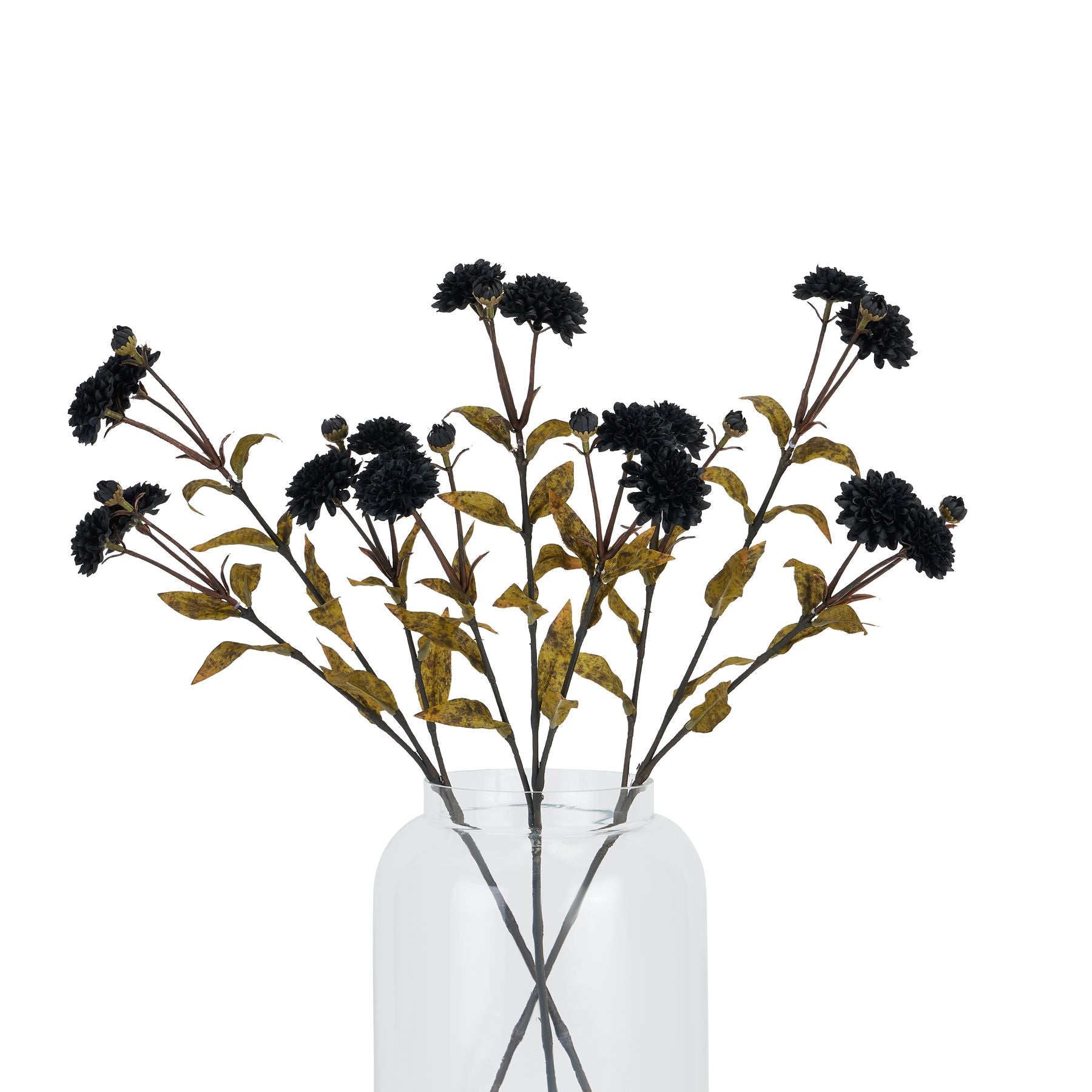 Skandi London Black Chrysanthemum - Skandi London