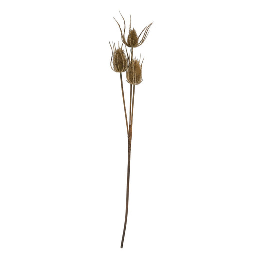 Skandi London Large Brown Triple Teasle Stem - Skandi London