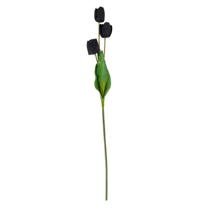 Skandi London Tall Black Triple Tulip Stem - Skandi London