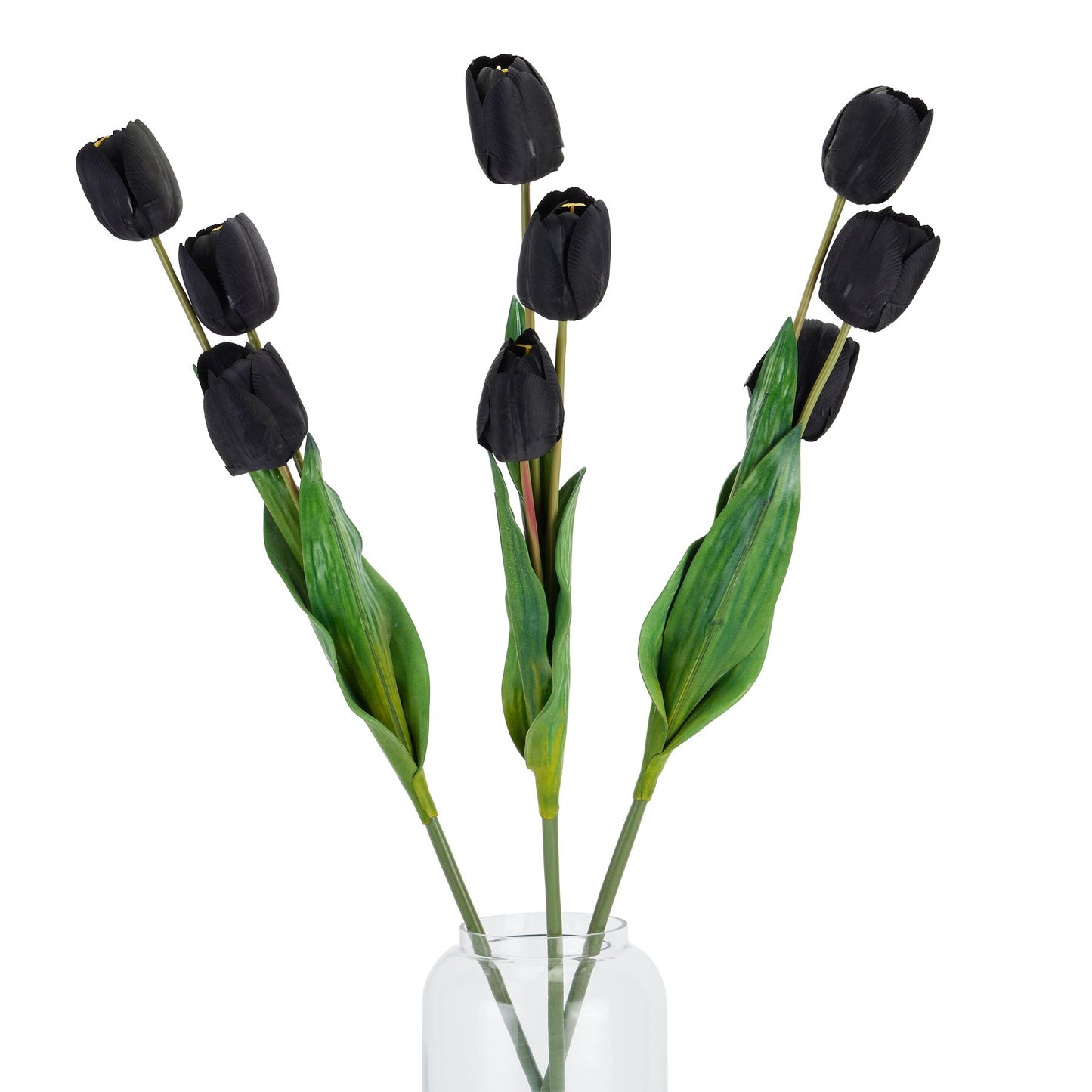 Skandi London Tall Black Triple Tulip Stem - Skandi London