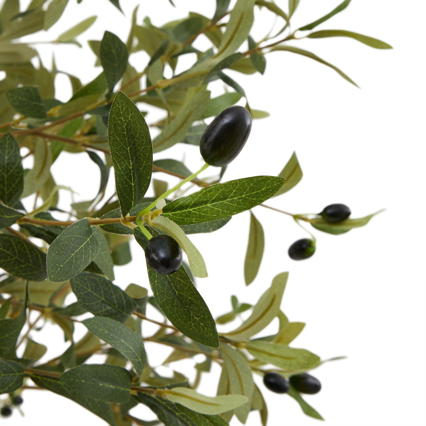 Hurum Olive Tree - Skandi London