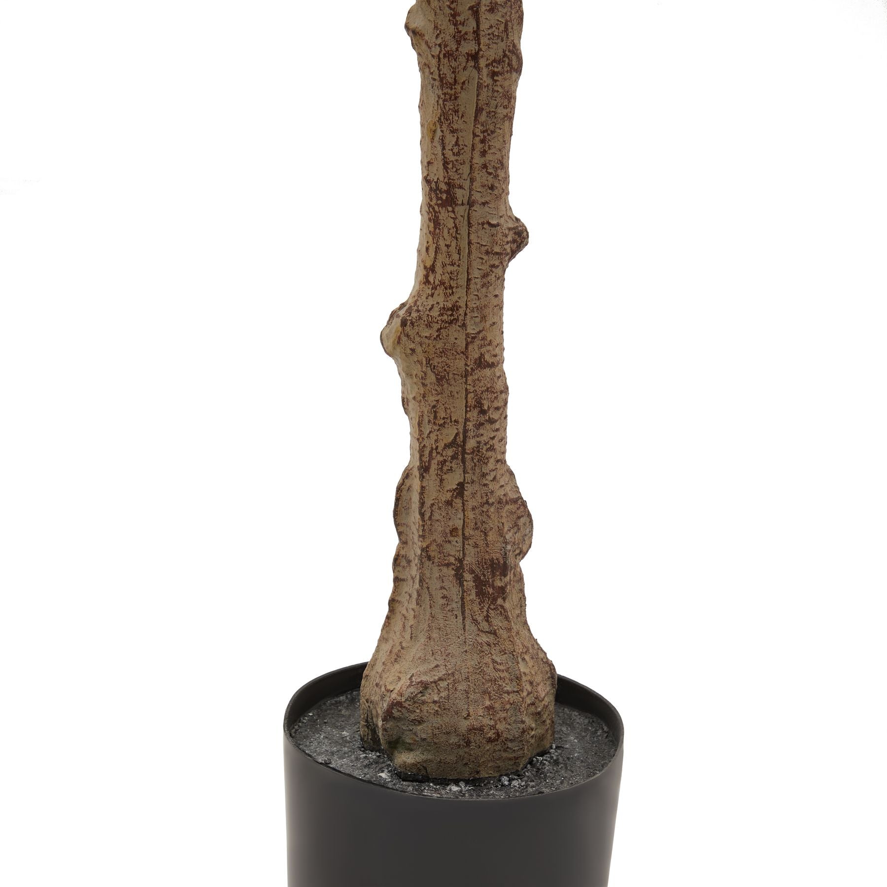 Hurum Olive Tree - Skandi London