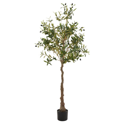 Hurum Olive Tree - Skandi London