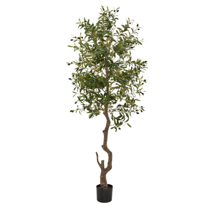 Hurum Large Olive Tree - Skandi London