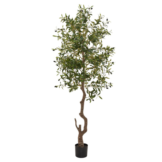 Hurum Large Olive Tree - Skandi London