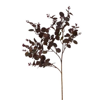 Skandi London Burgundy Eucalyptus Bunch - Skandi London