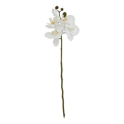 Skandi London White Butterfly Orchid Stem - Skandi London